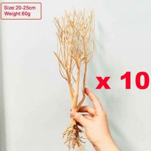 Bois À Dérive De Coffre Naturel,Assortiment De Branches De Bois À Dérive,Branche De Bois À Dérive Moss,Grande Taille Pour Branches De Bois À Dérive D'aquarium - Type 20-25cm 10pcs - Neuf