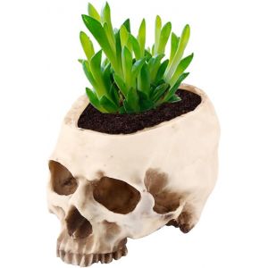 Nouvelhorizonstore-Pot De Fleurs En Forme De T&ecirc;te De Mort, Pot De Fleurs En R&eacute;sine, D&eacute;coration D'halloween, Pot De Fleurs En Forme De T&ecirc;te Pour Plantes Grasses, Maison, F&ecirc;te, Bar, Ext&eacute;rieur, Bureau D - Neuf