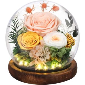 Cadeau Rose &Eacute;ternelle pour la F&ecirc;te des M&egrave;res, Rose R&eacute;elle Pr&eacute;serv&eacute;e en D&ocirc;me de Verre avec LED, Fleurs &agrave; Livrer, Cadeau pour Femme, &Eacute;pouse, Anniversaire, Champagne - Neuf