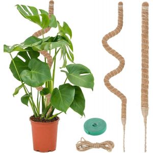 KALANKA-Tuteur Plante, 120CM Support Plante Grimpante Tuteur Coco avec Twist 2 Meter pour Soutenir Les Plantes, pour Plante Jardin Domestique - Neuf