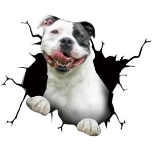 KAL-Lot De 4 Autocollants 3D Pour Chien - Bulldog Français - Autocollant Pour Réfrigérateur - Motif Bouledogue Français - 30 Cm X 30 Cm - Neuf