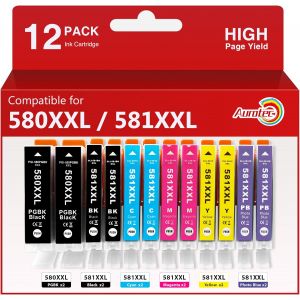 PGI-580 CLI-581 XXL Cartouches d'encre Compatibles pour Cartouche Canon 580 581 XXL pour PIXMA TS8350 TS8151 TS8300 TS6250 TS6151 TR7550 TS8350 TS8352 TS8152 TR8550 TS8252 TS8150 (12-Pack) - Neuf