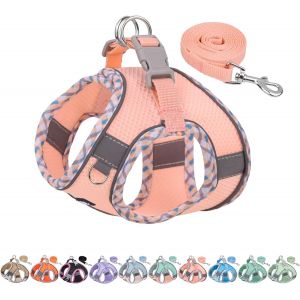 Jgd-Aiitle Ensemble Harnais Et Laisse Pour Chien Pour La Promenade, Harnais Pour Chiot, Bandes R&eacute;fl&eacute;chissantes, Pour Tr&egrave;s Petits Chiens Et Chats Domestiques Rose Xxxs - Neuf