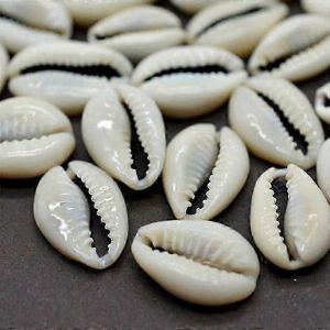 100pcs Coquillages De Cauris Naturels Pour La Fabrication De Bijoux De Bricolage,L'artisanat De Plage,Les Accessoires De Décoration Intérieure - Neuf