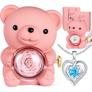 Ours Rose Eternelle avec Bijoux Cach&eacute;e, Cadeau Saint Valentin pour Femme, Nounours Rose Eternelle avec Collier, Cadeau Anniversaire Femme, Cadeaux F&ecirc;te des M&egrave;res pour Maman et No&euml;l - Neuf