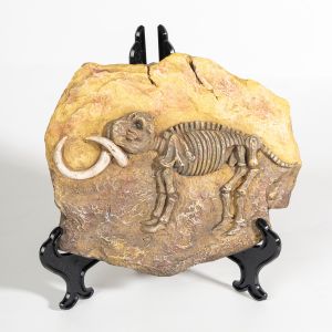 Statue en r&eacute;sine repr&eacute;sentant un squelette fossile de tric&eacute;ratops, figurines sculpt&eacute;es, objets de collection, d&eacute;coration pour le bureau &agrave; domicile ou le bureau - Neuf
