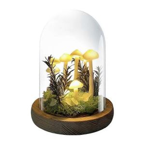Petite Lampe Champignon Veilleuse Champignon Faite À La Main Nouveauté Veilleuse Projet Petite Lampe Champignon Ar - Neuf
