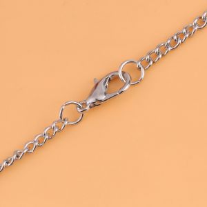 Hjlian Collier Commemoratif Retro Pour Animaux De Compagnie, Pendentif Porte-Cendres En Forme De Cour Pour Chien Et Chat - Neuf