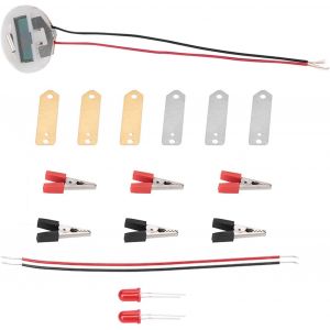 KAAQL-Kit D'Expérience Scientifique Sur La Batterie De Fruits,Kit Scientifique Bioénergétique Pour Enfants - Neuf