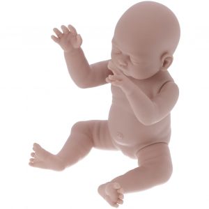 Kit De Poupee Reborn Non Peinte De 48 Cm, Pieces Vierges Et Realistes, Moule - Neuf