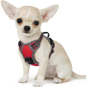 Eryi-Harnais Chien, Harnais Anti Traction Pour Chien Réfléchissant Réglable, Facile À Mettre, Avec Poignée Contrôle, Arnet Pour Chiens Solide Respirant, Harnet Pour Chiot, Rouge, Xs - Neuf