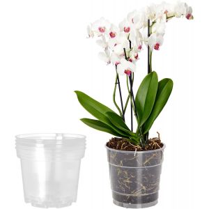 Pots Horticulture Ronds Transparents Pots Pour Culture De Plants De Plantes Et Fleurs Gd-0024 (5 Pi&egrave;ces Transparent,&iquest; 12cm H 10,5cm) - Neuf