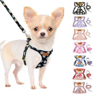 Jgd-Harnais Petit Chien: Harnais Pour Chiots En Daim Souple Et L&eacute;ger, Sans Traction, Avec Laisse Et Boucle, Harnais Chiot Pour Chiens De Petite Et Moyenne Taille - Neuf