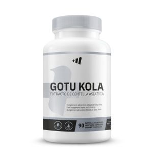 Gotu Kola 500mg - 90 Vegetable Capsules De Mm Supplements - Neuf