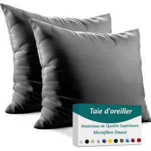 Cauc-Taie D'oreiller 65x65 Microfibre Premium Lot De 2 Housse Coussin Pour Coussins Canap&eacute;/Lit Tissu Super Doux Resistant Et Lavable Hypoallerg&eacute;nique Anti-Acariens Avec Fermeture &Eacute;clair Invisible - Neuf