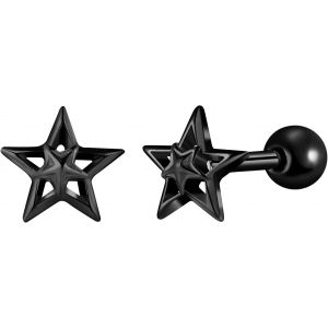 Kal-Hommes Boucles D'oreilles Étoile En Acier Inoxydable: Femmes Clous D'oreilles Etoile De Noël -Boucle D'oreille Cartilage Piercing -Bijoux Fantaisie Adolescent Décoration - Neuf