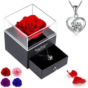 Préservé Real Rose Cadeau St Saint Valentin Femme Fait À La Main Eternal Rose Avec Collier Cadeau, Un Cadeau Surprise Romantique Pour Noël La Saint-Valentin - Neuf