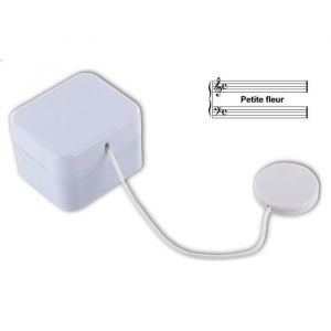 Bo&icirc;te &Agrave; Musique Petite Fleur (Sidney Bechet) - Lutece Creations - Lavable Pour Doudou Ou Peluche - Neuf