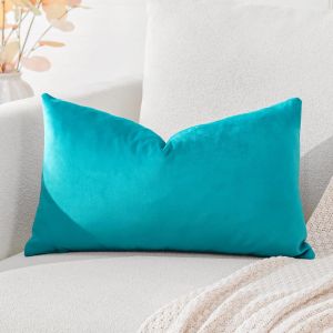 Cauc-Housse De Coussin En Velours D&eacute;coratif Canap&eacute; Taie D'oreiller Super Doux Decoration Maison Salon Chambre Pour Canap&eacute; 40x60cm Turquoise - Neuf