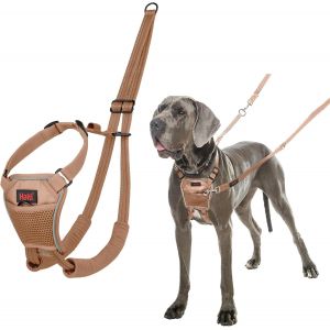 Eryi-Harnais Anti-Traction Halti - Pour Que Votre Chien Arrête De Tirer Sur Sa Laisse, Sangle De Poitrail Et Des Pattes Avant Rembourrée, Harnais Pour Grand Chiens (Taille L, Sable Du Désert) - Neuf