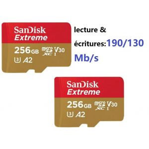 Lot de 2 SanDisk Extreme 256 Go Micro SDXC Carte Mémoire flash - Class 10 - Neuf