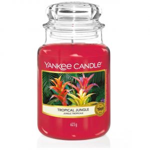 Bougie Yankee Candle grand format 623 g Parfum intense longue dur&eacute;e jusqu&iquest;&agrave; 150 h Ambiance chaleureuse maison - Neuf