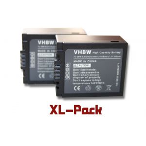 2 batteries 1000mAh pour appareil photo Panasonic Lumix DMC-G1, DMC-G1K, DMC-G1W, DMC-G2, DMC-G2K, DMC-G2W, DMC-G10 remplace DMW-BLB13 / DMW-BLB13E - Neuf