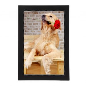 Cadre photo numerique 10,1 pouces, ecran tactile IPS HD, WiFi intelligent, pour la maison, prise americaine 100 a 240 V - Neuf