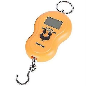 Balance num&eacute;rique suspendue Heeta avec &eacute;cran LCD r&eacute;tro&eacute;clair&eacute; - Balance portable pour poissons et bagages, capacit&eacute; de 50 kg, 3 unit&eacute;s de mesure - Neuf