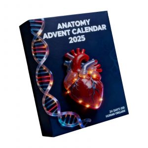 Efficace Briser Acrylique R&eacute;sistant Organe D&eacute;cors De Jeu Pour Les Arbres De No&euml;l Easy Clip Sur Crochet De Fixation Festival Partie De La D&eacute;coration De Bo&icirc;te-Cadeau Multicolore - Neuf