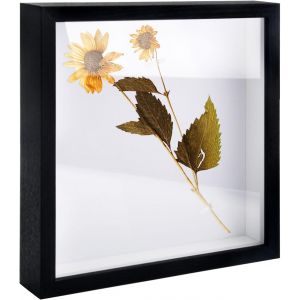 FCHHK-Noir Cadre 3D Profond 20x20 cm Boite Photo Petit Cadre 3D Profond Carré Cadre Photo Vitrine Cadre 3D Profond Carré Pour Décoration Murale ou Bureau Cadeau de Souvenir de Famille - Neuf