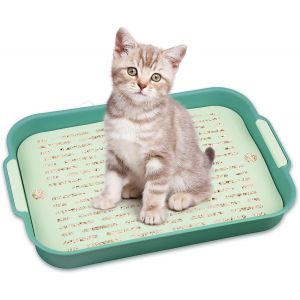 Shiliu-Bac À Litière Pour Lapin, Bac À Litière Pour Lapin, Grand Coin De Toilette Pour Petits Animaux, Lapins, Cochons D'inde (Vert[ - Neuf