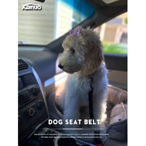 Ceinture Securite Chien Voiture, Harnais Laisse Voiture Chien Attache Avec Absorption Des Chocs &Eacute;lastique Et Mousqueton En M&eacute;tal Pour Tous Les Chiens Et Chats (Rouge, 60cm*2) - Neuf