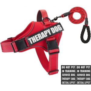 Ensemble Harnais Et Laisse Pour Chien D'assistance, Gilet R&eacute;fl&eacute;chissant Pour Chien D'assistance, Harnais De Dressage Avec 10 &Eacute;cussons, 3 Anneaux, Soutien &Eacute;motionnel Pour Chiens De Petite, - Neuf
