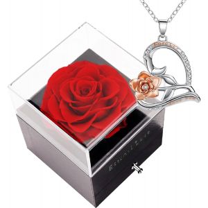 Coffret Cadeau Rose Éternel Avec Collier Pour Femme, Cadeau De Fête Des Mères, Cadeau De Saint Valentin, Cadeau D'anniversaire Pour Fille/Femme/Petite Amie - Neuf