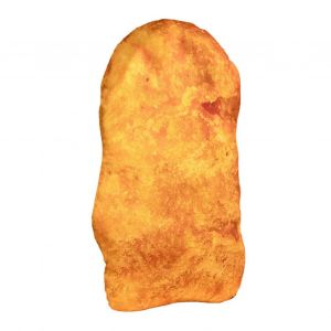 65cm Poulet P&eacute;pite Oreiller PP Coton Remplissage Simul&eacute; Poulet C&ocirc;telette Peluche Doux Canap&eacute; Coussin-hy - Neuf