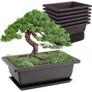 Lot De 6 Bols À Bonsaï-16,5 X 12 X 6 Cm- S-Avec Plateaux-En Plastique-Pour Jardin,Salon,Balcon - Neuf