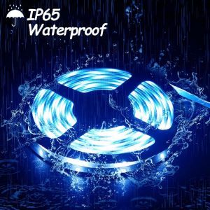 Ruban Led Solaire Ext&eacute;rieur, 3m 90led &Eacute;tanche Bandes Led Solaires D&eacute;coupable Cha&icirc;ne De Lumi&egrave;res 8 Modes Guirlande Lumineuse Pour Maison Jardin Mariage F&ecirc;te No&euml;l D&eacute;coration (Bleu)[Rub9224599] - Neuf