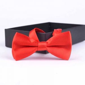 Enfants Noeud Papillon Bébé Garçon Enfant Vêtements Accessoires Couleur Unie Gentleman Chemise Cou Noeud Papillon Coloré Cravates Cadeau--A12 Red - Neuf