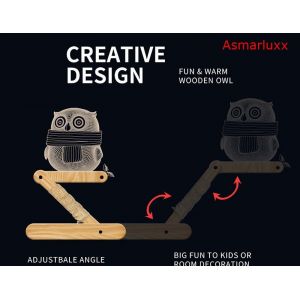 Lampe Led 3d En Bois, Illusion De Hibou, Faite À La Main, Panneau Acrylique Pliable, Abat-Jour, Lumière Flexible Pour Décor De Bureau, Cadeau D'anniversaire - Neuf
