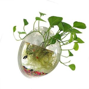 &Eacute;l&eacute;gant Aquarium Mural En Acrylique Transparent De 23 Cm Pour Poissons Aquaponiques &iquest; D&eacute;coration Peu Encombrante Pour Poissons Et Plantes Betta - Neuf