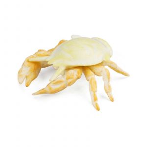 Mod&egrave;les De Poissons Simul&eacute;s Mod&egrave;les De Poissons-Bars R&eacute;alistes Pour La D&eacute;coration Int&eacute;rieure Et &Agrave; Des Fins &Eacute;ducatives-05 - Neuf