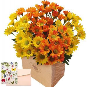 Fleur de Marguerite Artificielle,84 t&ecirc;tes de Fausses Fleurs Sauvages en Soie,Bouquet de Fausses Fleurs de Marguerite en Plastique pour Jardin Fermier,d&eacute;coration int&eacute;rieure et ext&eacute;rieure - Neuf