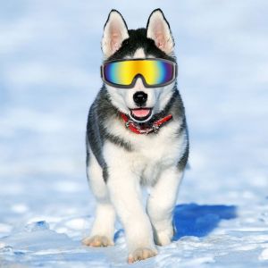 Hjlian Lunettes De Protection Uv Pour Chiens De Taille Moyenne Et Grande, Accessoires De Protection Des Yeux, Decoration Pour Animaux De Compagnie, Noir - Neuf