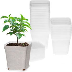 TEPPE-® 24 Pièce Pots de semis, Ø7cm Pots de Plante carrés Transparents avec Soucoupe, Godet semis Plastique, pour succulentes, graines et semis - Neuf