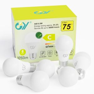 Ampoule Led E27 9.5w (&Eacute;quivalent 100w), 6500k Blanc Froid 1521 Lumens, A60 Ampoules E27 Led Efficacit&eacute; Energ&eacute;tique, D&eacute;polie, Non-Dimmable, 2 Unit&eacute; (Lot De 1) - Neuf