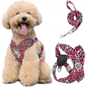 Harnais Pour Chiens Avec Laisse, Harnais Sécurisé Anti-Traction En Forme De X, Veste Pour Chiens De Petite & Moyenne Taille, Ceinture De Sécurité D'animaux Réglable, S, Marguerite Rose - Neuf