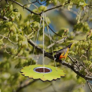 Mangeoire À Oiseaux Suspendue Avec Plateau En Acier Inoxydable Pour Attirer Les Cacatoès Et Les Oiseaux Sauvages - Neuf