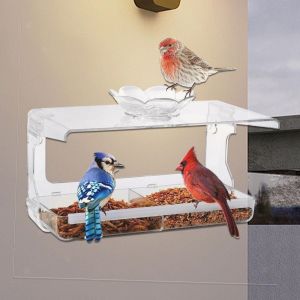 Mangeoire À Oiseaux À Fenêtre Transparente, Avec Ventouses Fortes, Bol De - Neuf
