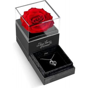 Meilleur Cadeau Pour Femme,Rose Rouge Préservée Avec Collier Je T'aime En 100 Langues,Cadeaux Romantiques Pour Elle Pour La Fête Des Mères,Anniversaire,Anniversaire. - Neuf